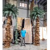 نخل مصنوعی ۵ متری